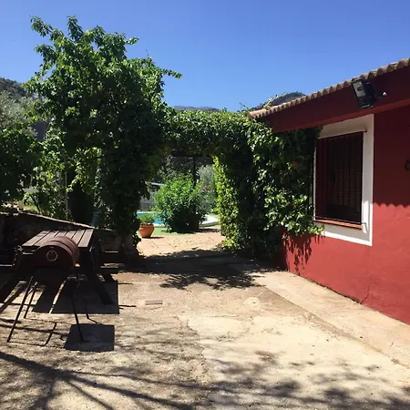 Ponce De Leon 龙达