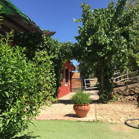 Tatil Evi Ponce De Leon