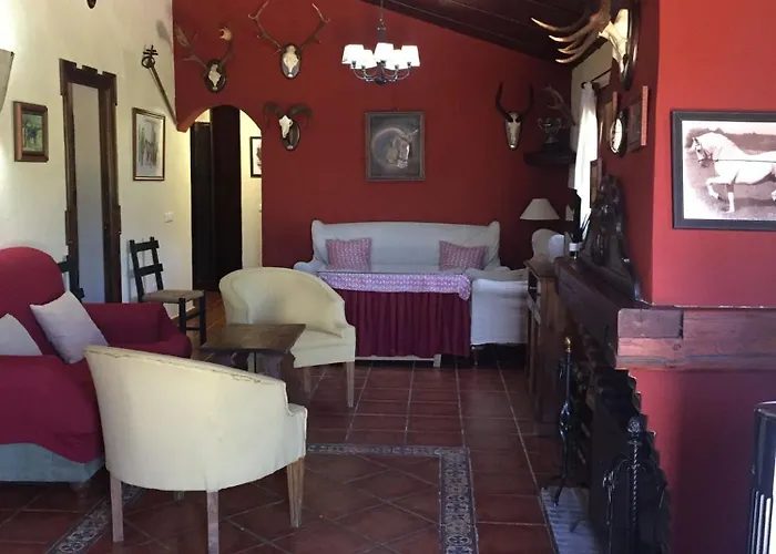 Ponce De Leon * Ronda